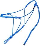 Knotty Girlz 4 Knot Horse Rope Training Halter - 3/16" (5mm) Very Thin! Stiff Polyester Halter Rope (Blue, Standard)