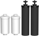 Filterlogic Water Filter, Replacement for Black Filters (BB9-2) & Fluoride Filters (PF-2) Combo Pack and Gravity Filter System - includes 2 Black Filters and 2 Fluoride Filters