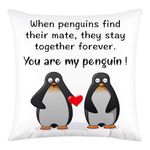 Love Friend Gifts Pillows