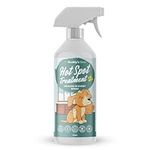 BUDDY'S BEST Hot Spot Treatment For Dogs - 250ml Hypochlorous Acid Solution for Immediate Relief & Skin Health