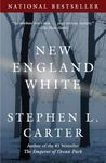 New England White: A Novel (Vintage