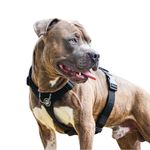 Spark Paws No-Pull Dog Harness - Designed for Safety and Control, Ideal for Large, Strong Breeds - Pitbulls, Boxers - Black, L