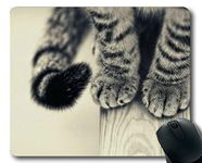 Gaming Mouse pad,Paw Tabby Cat mouse pad,Mouse mat for Computer cat173