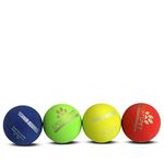 SPORTSPET Tough Bounce Natural Rubber Dog Balls - Highly Durable Tough Bounce Balls (65mm) (4 Pack - Colourway 2)