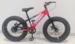 Appgrow Super Fat tyre Cycle in 20" Wheel Size with Tyres of 20 * 4.00 with Front Suspension Fork with Dual disc Brakes in Single Speed for Age Group 7 to 13 Years
