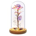 Mom Gifts for Mothers Day from Daughter Son-Birthday Gift for Women | Galaxy Rose | Rainbow Rose Flower Gift for Her Anniversary Wedding Light Up Rose in A Glass Dome