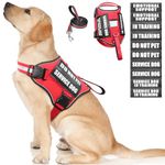 Service Dog Harness and Leash Set, Training Dog Vest with 10 Velco Patches, Emotional Support Therapy Dog Vest Harness for Small Medium Large and Extra Large Dogs(Red, L)