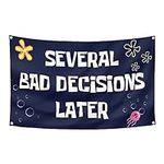 Several Bad Decisions Later Flag 3x