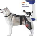 Dog Knee Brace for Torn ACL Hind Leg, Dog Leg Brace for Large and Small Dogs with Hip Dysplasia, CCL, Ligament Injuries or Osteoarthritis, Both Back and Front Legs (X-Large)