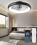 Top-notch Ceiling Fans with Lights 