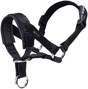 Licol pour Chien avec Tissu Rembourré, Dressage Collier Tête De Chien, Réglable Et Facilement Contrôlable (M,Noir)