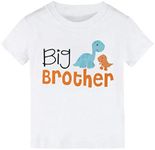 Big Brother T Shirts Tops for Toddler Baby Boy Big BRO Older Brother Tees Outfit Short Sleeve Clothes, Dinosaur 2-big Brother, 3-4 Years