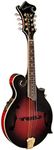 Washburn, 8-String Mandolin, Trans 