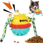 BELLE VOUS Squeaky Dog Chew Toy - I