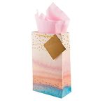 Birch & Co. Gift Paper Bags for Return Gifts - Paper Small Carry Bags for Gifting - Small Paper Bags -Goodie Bags with Tissue and Thank You Card - Gift Covers - Pack Of 5, multicolor