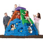 Step 2 Skyward Summit Climbing Structure- Multi Color - Adult