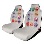 Auto Expressions Car Seat Covers