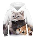 JSJCHENG 3D Animal Print Hoodies for Boys Girls Hooded Pullover Sweatshirts for 4-15 Years(Cats Three, 6-8 Years)