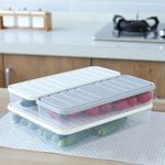 UCRAVO 1pcs 2500ml food box with 2pcs 1200ml Clear Container Plastic Food Containers Food Storage Box Vegetable Refrigerator Box, Food Container Stuffed Eggs, Kitchen Accessories(Multicolor)