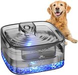 Dog Water Fountain for Large Dogs, 