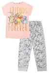 Disney Womens Winnie The Pooh, Eeyore, Tigger, Piglet, Kanga and Roo Forever Friends Long Ladies Pyjama Set (22-24) Pink