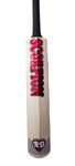 RD Sports English Willow Cricket Bat for Leather Ball (Men, Women) Full Size (Model Scorpion V-03)