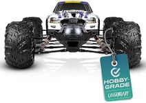 LAEGENDARY Remote Control Car, Hobby Grade RC Car 1:10 Scale Brushed Motor with Two Batteries, 4x4 Off-Road RC Truck, Fast RC Cars for Adults, RC Cars, Remote Control Truck