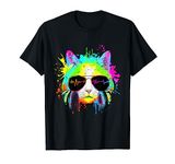 Funny Kitty Colorful Rainbow Rave Music DJ Cat T-Shirt