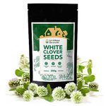 White Clover Seeds - 250g - 400,000 Seeds! Erosion Control, Ground Cover, Lawn Alternative, Cover Crop, Green Compost - Enhance Your Garden - Limitless Growth