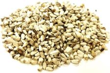 *NEW* 1.5kg SAFFLOWER SEED PARROT CAGE BIRD FOOD XLDS