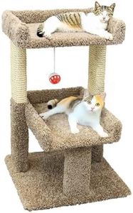 New Cat Co