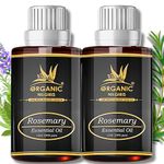 Organic Nilgiris 100% Natural Rosemary Essential Oil for Hair Growth Hair Fall Control & Strengthens Hair scalp nourishment. Ideal for pure hair care. Steam-distilled from premium rosemary leaves-30ml