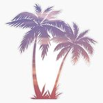 EMC Graphics Sunset Palm Trees Vinyl Waterproof Sticker Decal Car Laptop Wall Window Bumper Sticker 5"