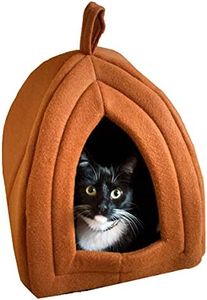 Cat House 