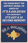 Flinelife Be A Goldfish Metal Sign,