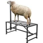 VEVOR Goat & Sheep Stand, 51x23 inch Livestock Stand, Metal Livestock Milking and Shearing Stand 21" to 33" Adjustable Height, with Headpiece and Nose Loop, 500lbs Loading Weight, Black