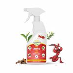 Indoor Ant Killer Safe For Pets