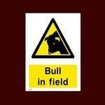 Bull in Field Plastic Sign - Warning, Farm, Dogs, Agriculture, Cattle, Sheep, Bull - (CA61)