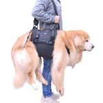 Dog Lift Harness,Dog Sling Carrier for Large Elderly Dogs Support Harness for Rear Back Legs Help, Dog Lift Sling Carrier for Large Dog Hind Leg Recovery, Old, Disabled, Joint Injuries (Blcak, XL)