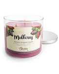 Mulberry All Natural 3 Wick Candle - Made with Responsibly Sourced Soy and Essential Fragrance Oils - Phthalate & Paraffin Free, Vegan, Non-Toxic