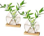 Plant Propagation Stations Terrarium with Wooden Stand-Desktop Glass Bulb Plant Vase for Propagating Hydroponic Plants Home Garden Office Decor (Style 6)