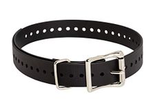 SportDOG Brand 1" Collar.