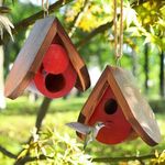 Hummingbird House for Outside. Hummingbird Gifts. Gardening Gifts for Women. Gifts for Bird Lovers. Hummingbird Nest （2 PCS） ZSHLXM