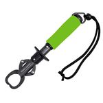 Crazy Shark Portable Stainless Steel Fish Lip Grabber Gripper Grip Tool Fish Holder Tackle EVA Handle 40lbs (Green)