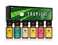 P&J Trading Fragrance Oil | Tropica