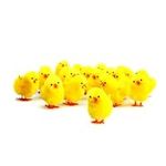 Bright Ideas 36PCS Mini Yellow 3cm Fluffy Chicks, Perfect for Easter Crafting, DIY Arts and Crafts Party Decoration and Cake Toppers