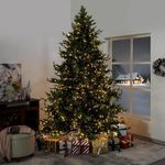 Kinsley 9ft Prelit Aritificial Christmas Tree with 6230 Branch Tips, 1000 Warm Lights and Metal Stand, 68" Wide Realistic Traditional Christmas Tree with Lights by Naomi Home