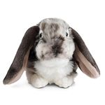 Living Nature Grey Dutch Lop Eared Rabbit Stuffed Animal Plush Toy | Fluffy Soft Toy Gift for Kids | Boys and Girls Doll | Naturli Eco-Friendly | 26 cm