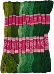Friendship Bracelet String 12 Skeins, Embroidery Floss Cross Stitch Embroidery Thread Floss Bracelet Making Yarn, Craft Floss (Green Series)