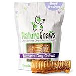 Nature Gnaws Beef Trachea for Dogs 